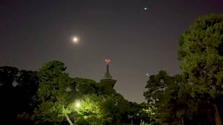 【お散歩】鶴見緑地 2022/8/8(Mon) 夏休み 夜のおさんぽ　/　Tsurumi Ryokuchi Park in Osaka, Japan【4K 60fps】