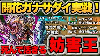 【ドラクエタクト】開花ガナサダイPvP実戦投入！開花する価値は！？