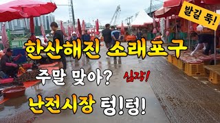 소래포구 실제 상인 심경은? 심각! 주말 낮시간대 인데 텅! 비었네, 3대 악재! Korean fish market