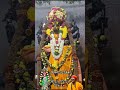 மேச்சேரி சுயம்பு எம வராஹி mecheri varaki varakispecial devotional varakiamma mecherivaraki salemgod