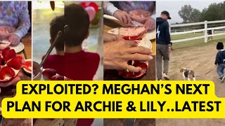 ARCHIE LILY EXPLOITED? NOT ACCORDING TO LA MARKLE HERE IS WHY! #meghan #meghanmarkle #royal