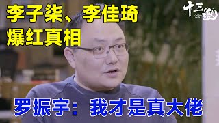 风口起飞的“猪”！李子柒、李佳琦爆红真相，罗振宇：我才是真正的大佬 #十三邀 #许知远#窦文涛