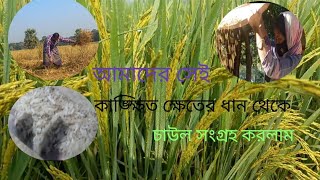 আলহামদুলিল্লাহ আমাদের সেই কাঙ্ক্ষিত ক্ষেতের ধান থেকে চাউল সংগ্রহ করলাম,