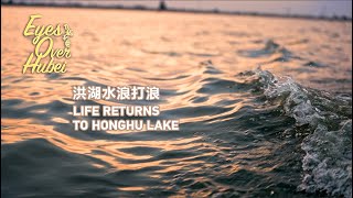 'Eyes Over Hubei': Life returns to Honghu Lake