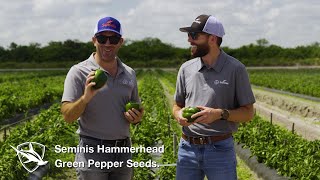 Exploring Excellence: The Future of Peppers with Javier Delgado \u0026 Ross Chastain