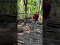 Moving a 14ft Cedar Log to The Mill by Hand #sawmill #wood #shorts #shortsvideo #woodworking #diy