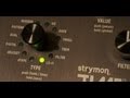 Strymon - Timeline -lo-fi- - bitcrusher and sample reduced delay...