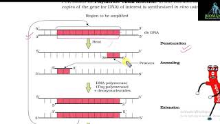 Easy way to learn NCERT | NCERT Marking | Ch-11 Biotechnology | Part 5 | Cloning Vectors | NEET CBSE