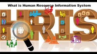 HR Basics Human Resource Information Systems