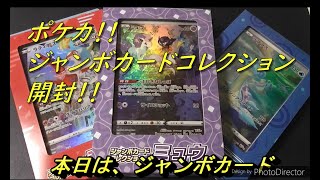 【ポケカ】わいわいと！家族でジャンボカードコレクション3種類を開封する！！