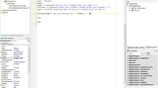 How to use InputBox Using Delphi