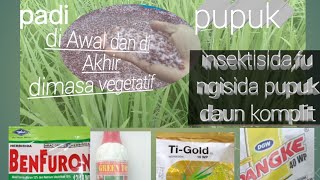 Cara merawat padi pada masa vegetatif,agar tumbuh subur dan anakan mencapai 40/50