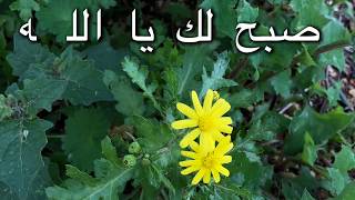 من أقدم الصلوات المسيحية