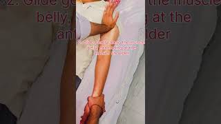 Relieve Tight Biceps! Elbow Flexor Massage & Mobilisation Guide. #pain #relax #doctor #health #life
