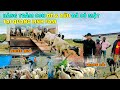 Quanglinhvlogs || Hàng Trăm Con Dê & Con Cừu Khoẻ Mạnh Đã Có Mặt Tại Quang Linh Farm