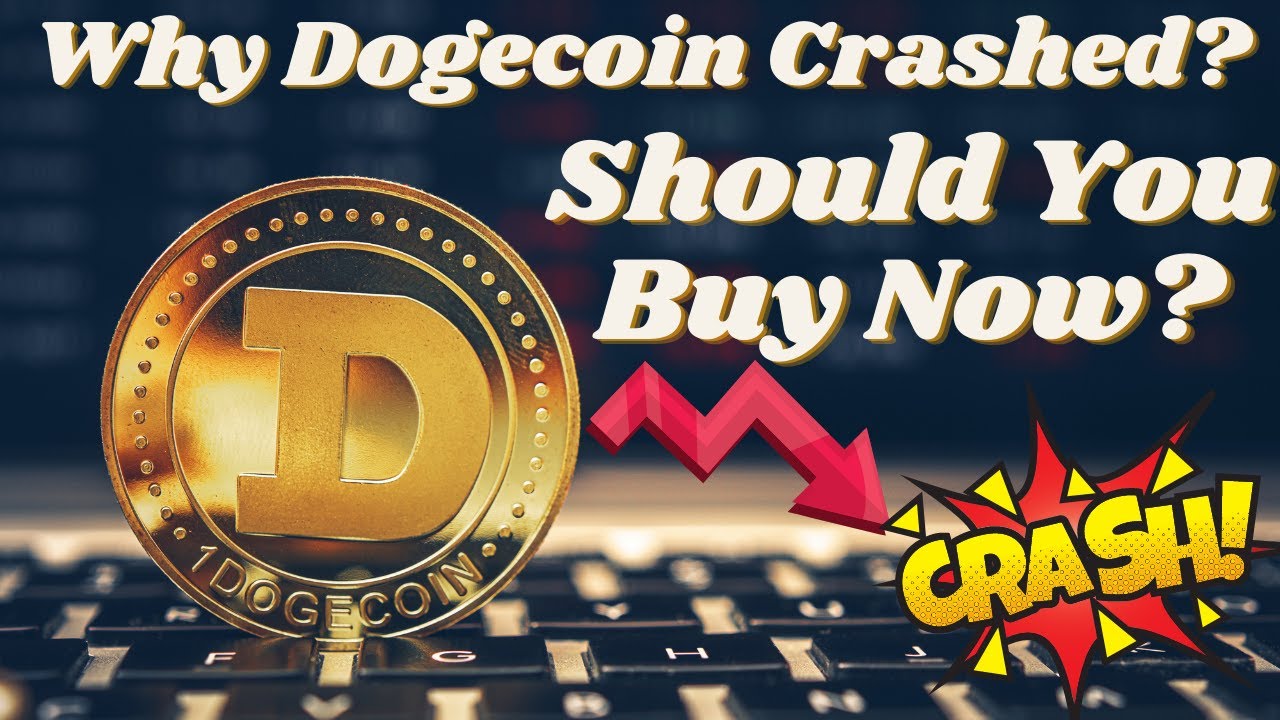 Why Dogecoin Crashed After SNL Live? Should You Buy Dogecoin Doge Now ...