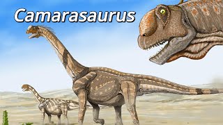 Camarasaurus That Weird Looking Sauropod