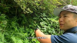 奄美大島研修旅行 〜フナンギョの滝までトレッキング〜