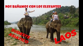 NOS BAÑAMOS CON LOS ELEFANTES - LAOS