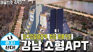 [청담동아파트] 압구정로데오역 역세권+청담동 명품거리 한가운데에 위치한 강남구 청담동 소형APT. 지상1층~지하1/2층의 넓은 주차공간과 수입 명품가구 풀옵션! [강남구아파트]