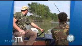 Italian Fishing TV - FIPSAS - Pesca in città - Mantova signora dei laghi