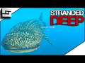 ATTACKED By A WHALE SHARK In Stranded Deep? E11