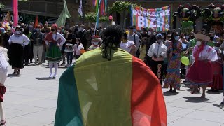 Kalejira en Iruñea por el Día de la Diversidad cultural