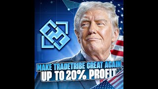 TradeTribe - Legacy Platform -Earn up to 20% Monthly, The Results and How to Get Started -Big Winner