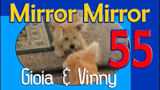 Video 55: Mirror Mirror