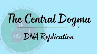 Central Dogma Part 1: DNA Replication