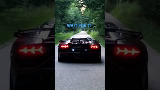 SVJ Launch Crash #novitec #automobile  #lamborghini #fyp #launch #funny #only  #fans #streamer #wow