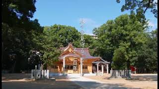 nikko | 新居浜を遊ぼう「一宮神社」篇