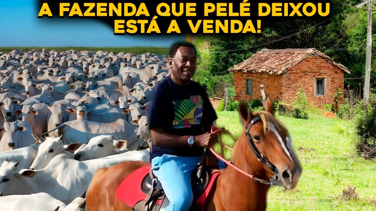 CONHEÇA A FAZENDA DEIXADA POR PELÉ QUE ESTÁ A VENDA! Quanto Custa ...