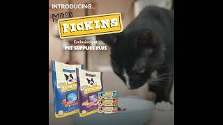 Pet Supplies Plus Mittens Pickins Cat!!