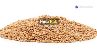 LAXMINARAYAN GOLD/CLASSIC GOLD/AJANTA NEW PACK/BANSI GOLD WHEAT......