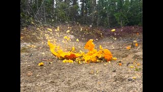 exploding pumpkins