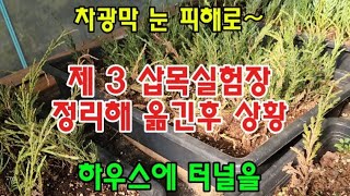 #옥전농부 #제 3 삽목실험장 정리해 옮긴후 상황#하우스내에 터널보강#차광막설치#실험 계속진행중~