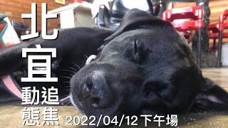 【北宜動態追焦】2022/04/12/財茂彎15:50～16:50#動態追焦 #北宜 #狗狗 #地乾#財茂