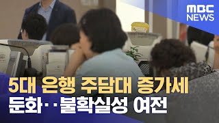 5대 은행 주담대 증가세 둔화‥불확실성 여전 (2024.09.18/12MBC뉴스)