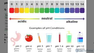 pH of Solutions