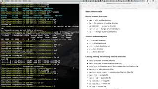 Python for Data Analysis 2018-19 - Lesson 2 (2/3)