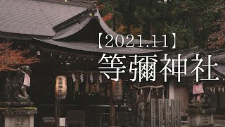 【2021.11】等彌神社の紅葉 - 神の森の福の神 - ／SONY a7SⅢ／AUTUMN TOMI JINJA SHRINE/Nara Japan