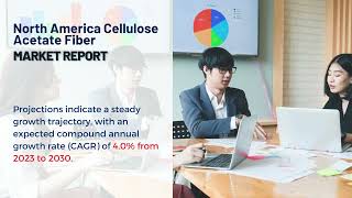 North America Cellulose Acetate Fiber Market Report 2024