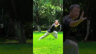 Bajiquan 八极拳内功桩法 唐强老师演练