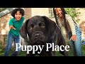 #PuppyPlace #Trailer #AppleTV   Puppy Place — Official Trailer | Apple TV+