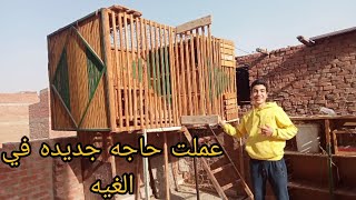 عملت حاجه جديده في الغيه وفرجه علي الحمام الجديد_احمد عوده