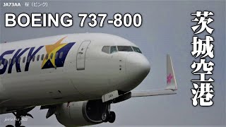 茨城空港に着陸するスカイマーク（ボーイング737-800）・ウィングレットの絵柄。