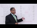 DBMS - Distributed Database System