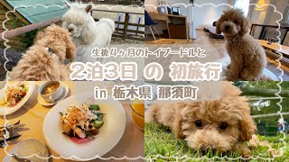 【犬と旅行】２泊３日、愛犬と初めて行く那須町が最高すぎました…