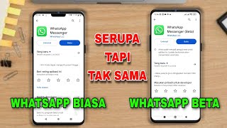 Wajib Tahu🔥Perbedaan WhatsApp beta dan WhatsApp biasa